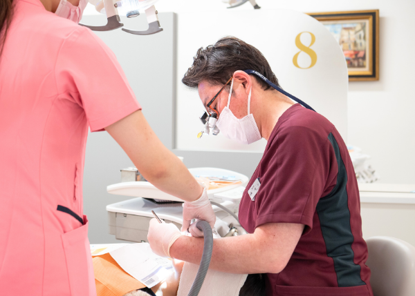 メンテナンス・保定の様子